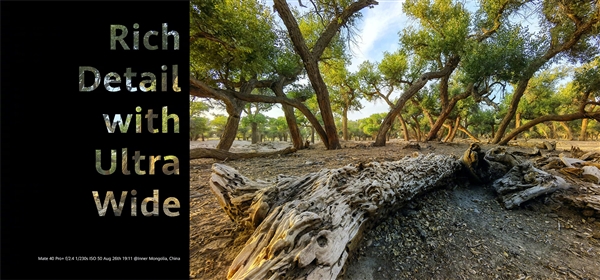 华为Mate40 Pro/Pro+正式发布：100倍变焦五摄、快充终于提速